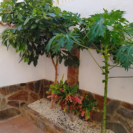 Hills Private * Мелонерас